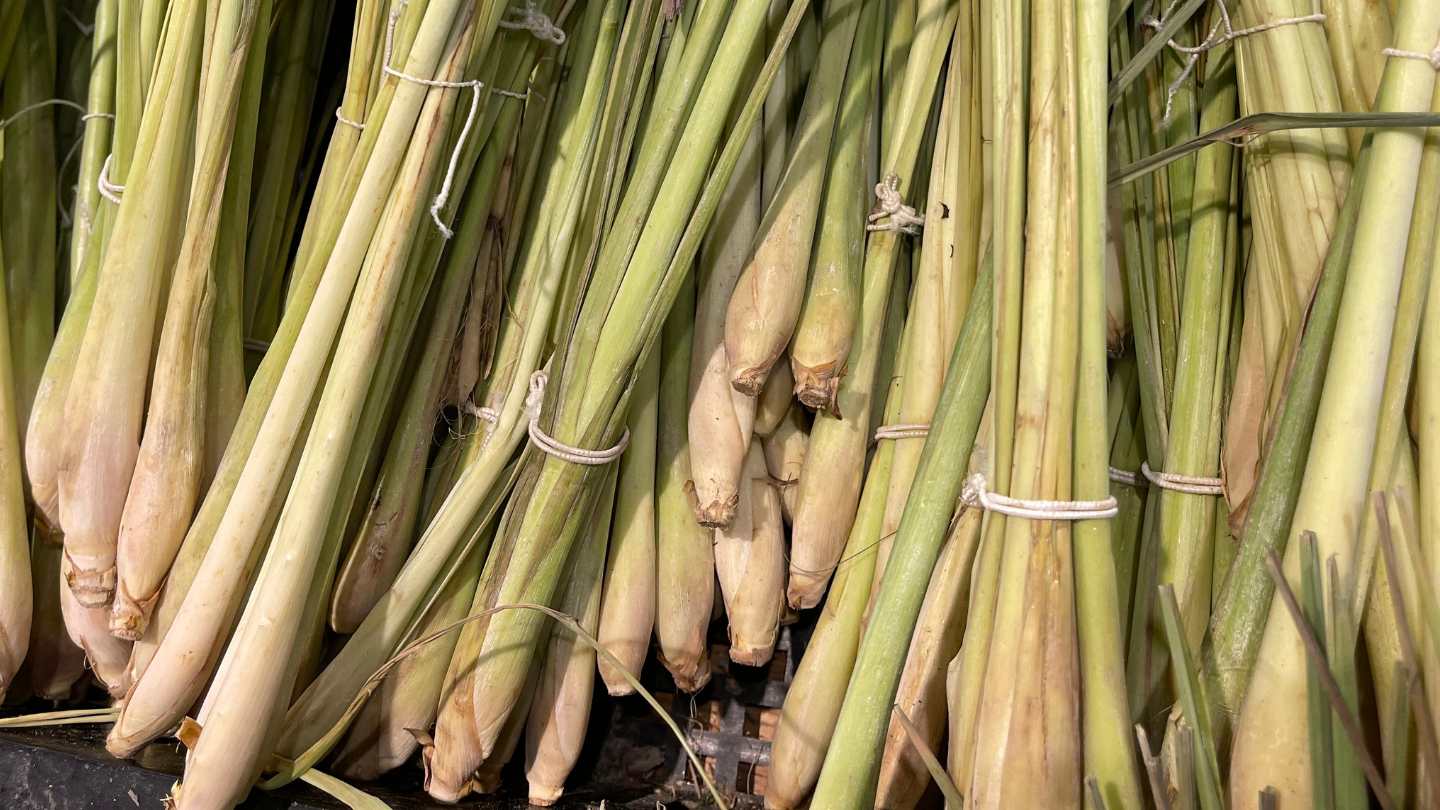 Xong hoi sa ho tro thai doc gan hieu qua. Anh: Canva