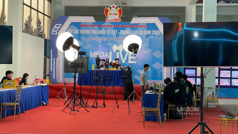 Khu Megalive ban hang truc tuyen la diem nhan cua hoi cho nam nay. Anh: Dinh Dai