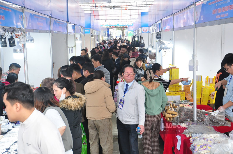 Dong nguoi chen nhau tham quan cac gian hang tai hoi cho. Anh: Dinh Dai