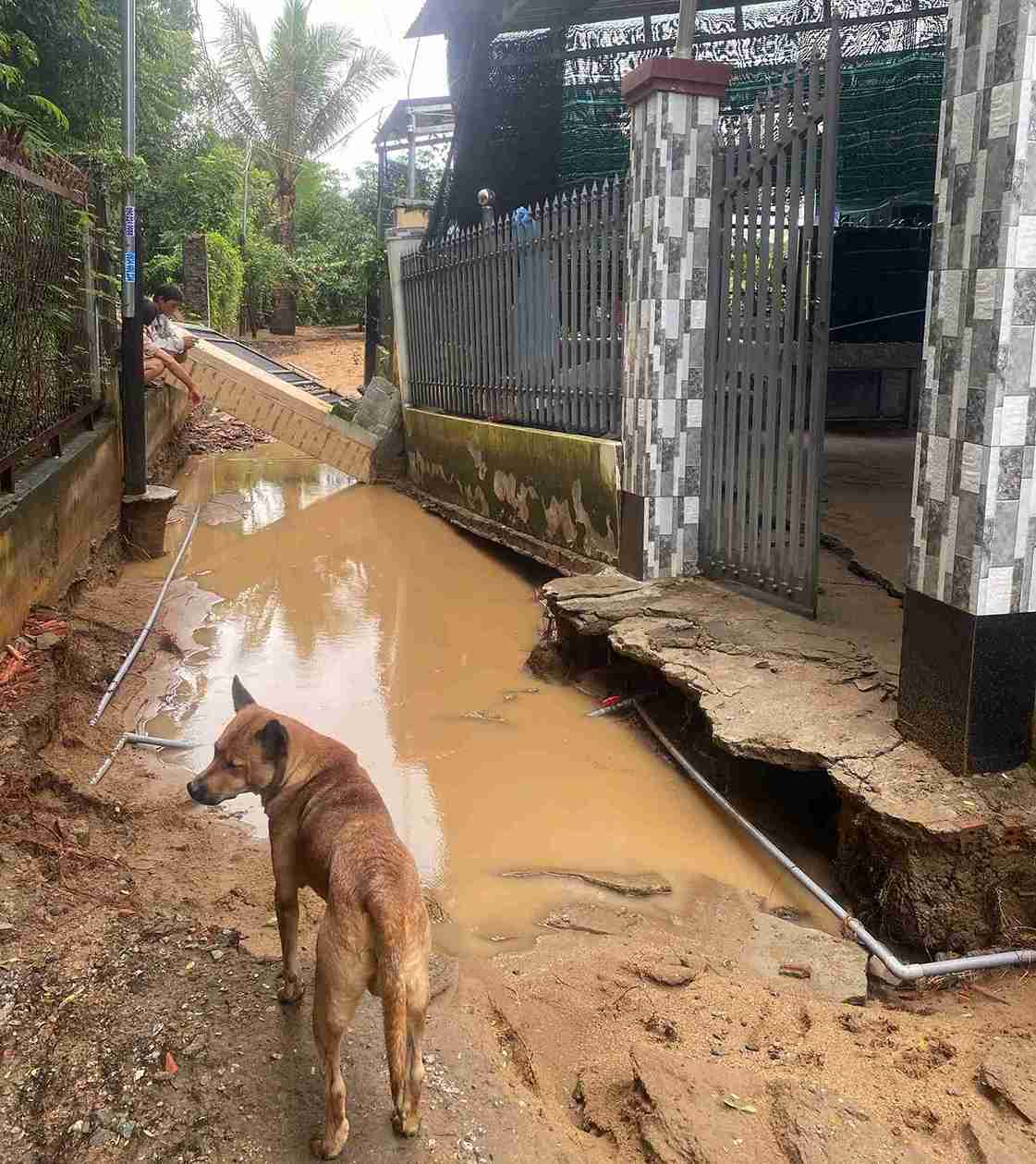 Mhieu ngay mua lon lien tuc da khien bo song Cai Phan Rang doan qua dia ban xa bi xoi lo ham ech. Anh: Cong an Son My