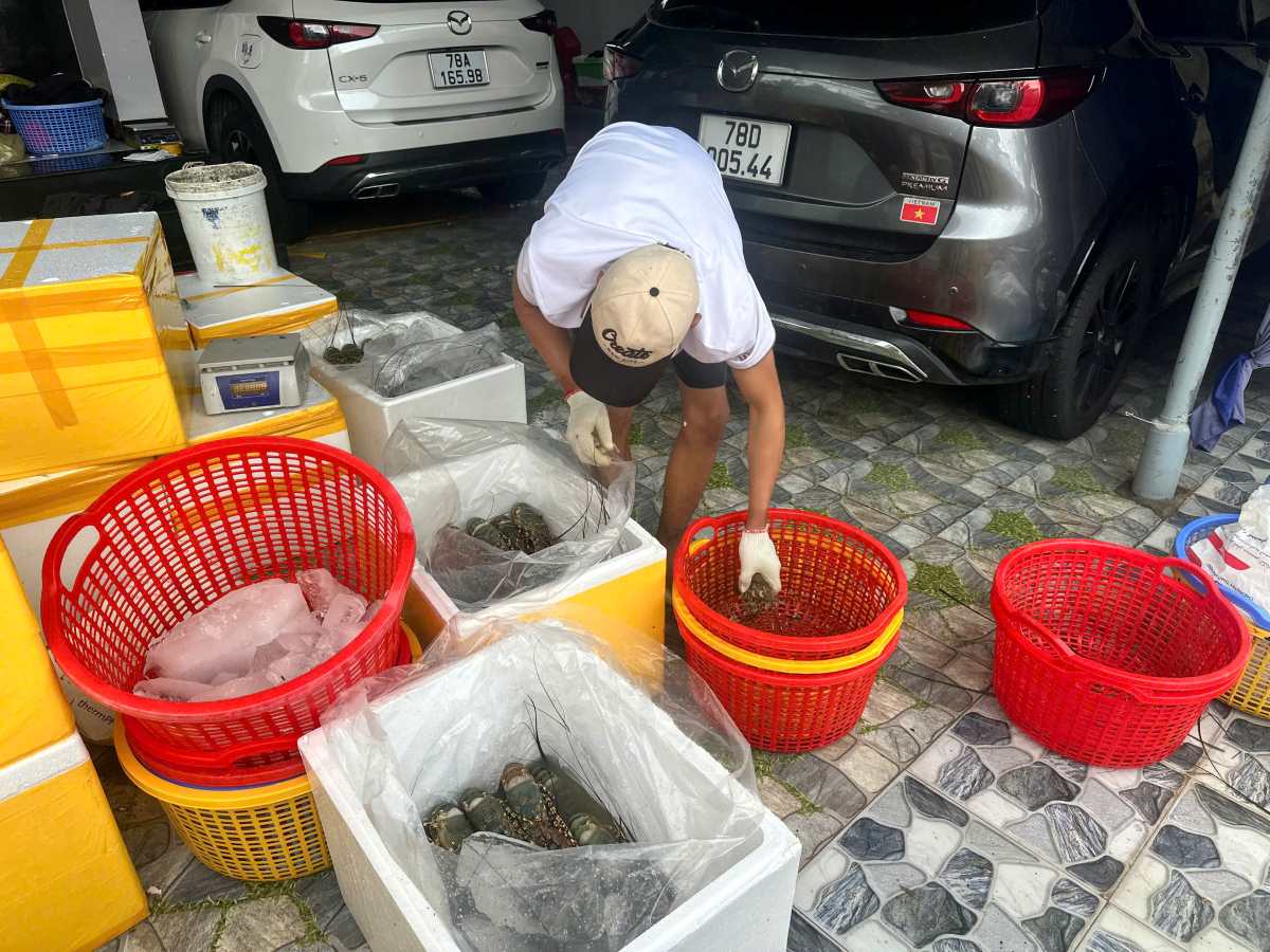 Nguoi dan Song Cau vot tom chet de ban go gac. Anh: Phuong Uyen