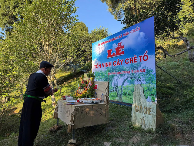 Thay cung chu tri thuc hien nghi le cung cay che to 