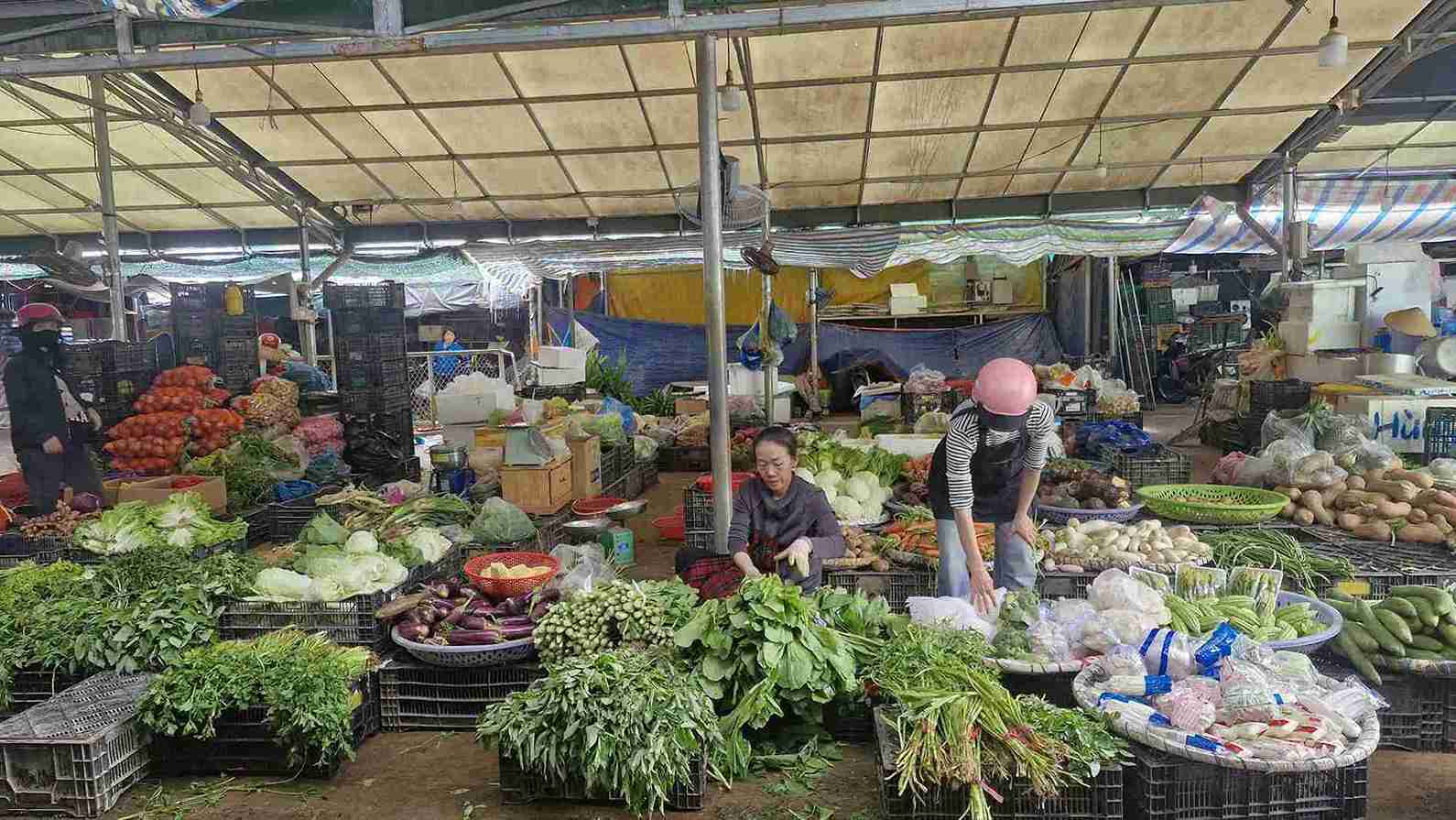 Mua lu khien nhieu vung rau tai Lam Dong bi xoa so, nhung nguon cung ung rau cu cho thi truong van dam bao. Anh: Phuc Khanh.