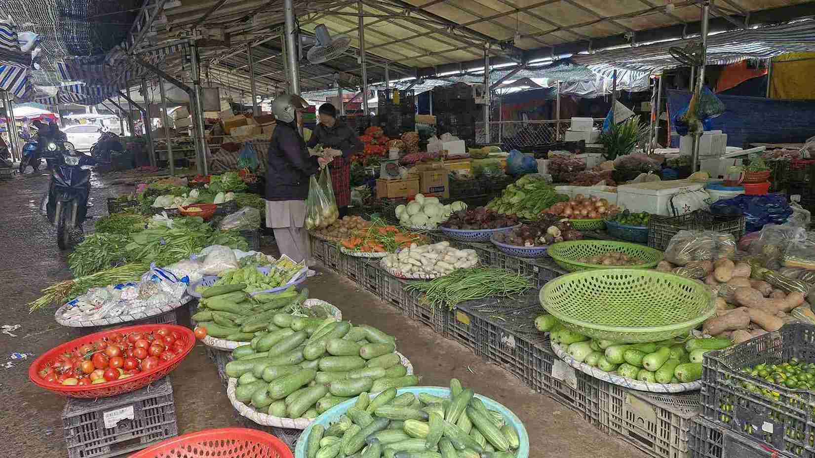 豪雨と洪水による深刻な被害を受け、多くの野菜生産地域が消滅したにもかかわらず、ラムドン省は年末の市場向けの緑の野菜供給を依然として確保しています。写真:Phuc Khanh