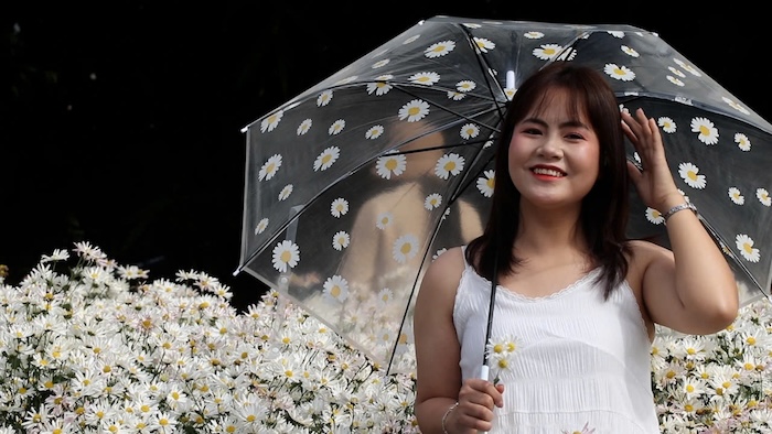 Sorprendidos por el blanco cuc hoa mi los turistas se quedaron hasta mediodia para tomar fotos.