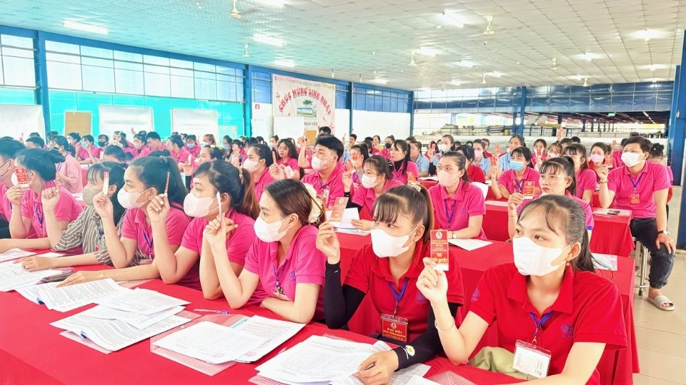 Dai bieu du Dai hoi bieu quyet Anh: Hoang Loc