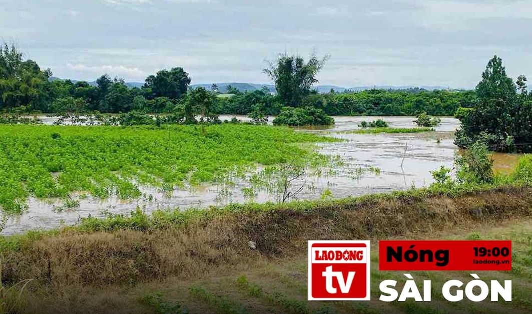 Hot Saigon on November 22