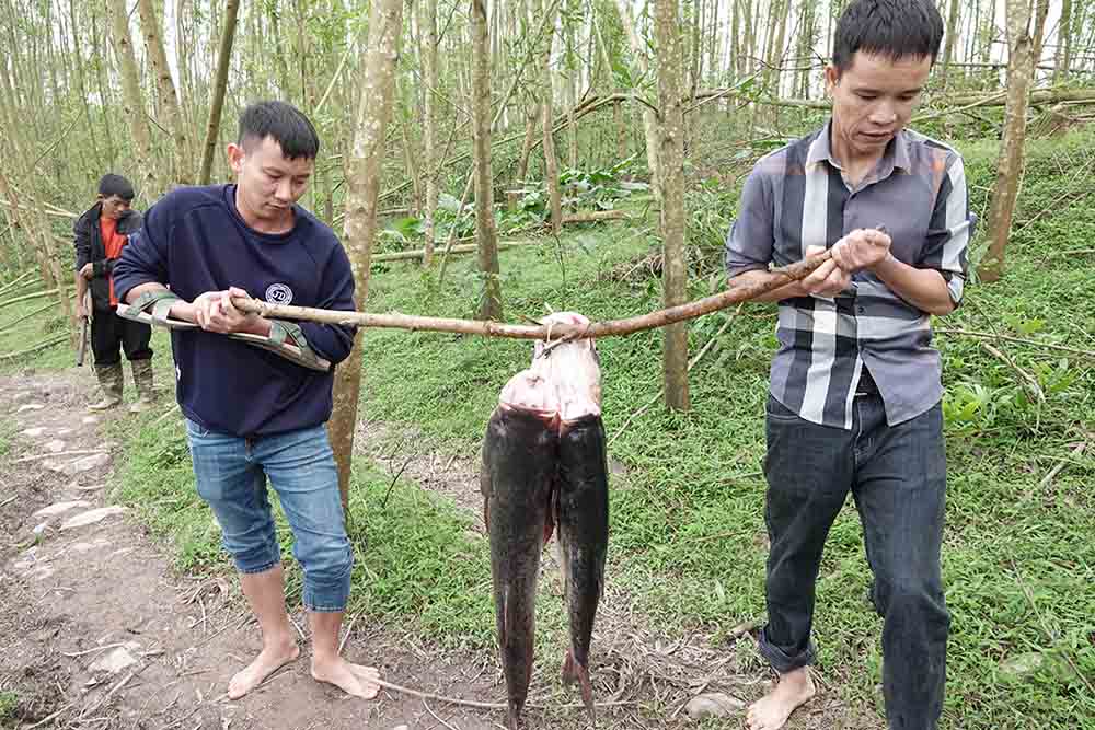 Ganh ca dua ve. Anh: Tran Tuan.