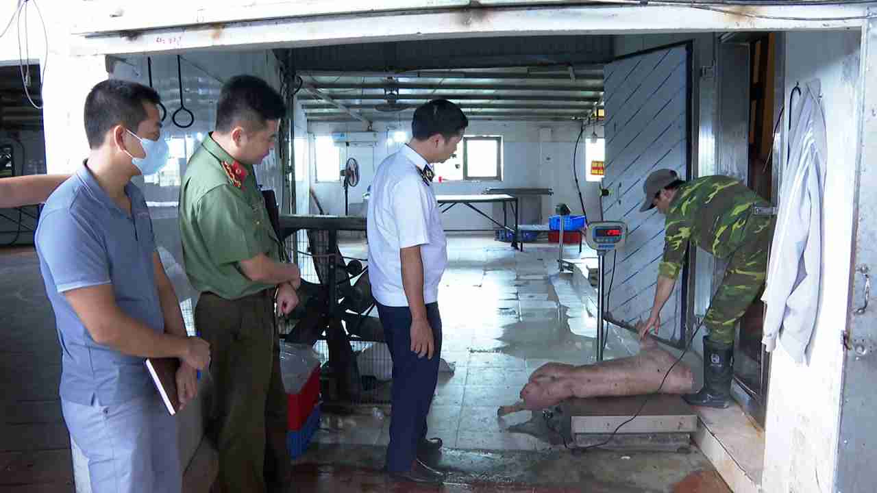 Lực lượng chức năng kiểm tra cơ sở chăn nuôi Đồng Kênh, nơi lợn nhiễm dịch tả bị giết mổ và bán ra thị trường. Ảnh: Công an tỉnh Hưng Yên