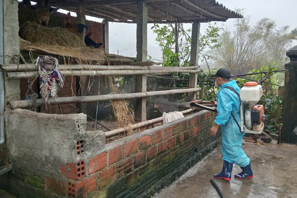 Khu khuan khu vuc chuong trai, noi tiem an nhieu mam benh. Anh: CDC Gia Lai