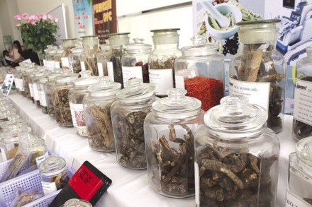 Traditional medicine. Photo: Thuy Linh
