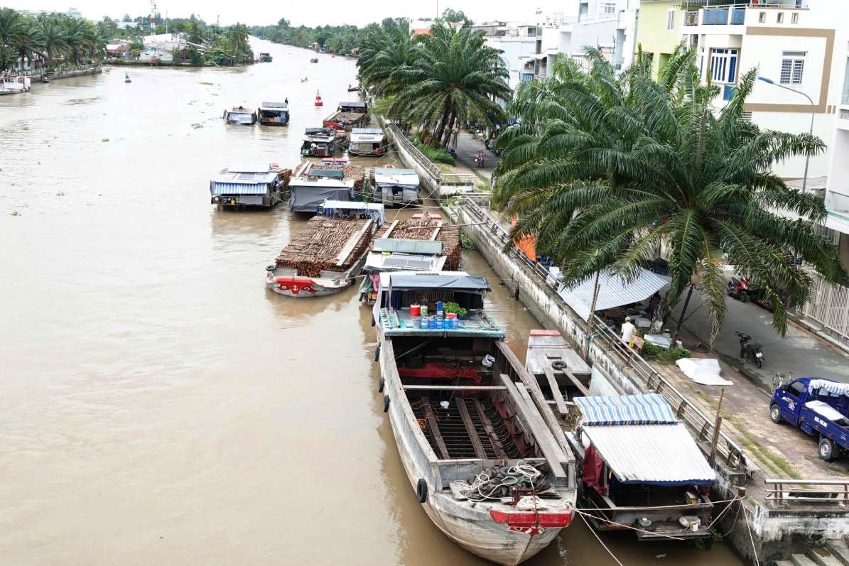 Doan song Cai Con tro thanh noi neo dau cua nhung chiec ghe cho cui. Anh: Ta Quang