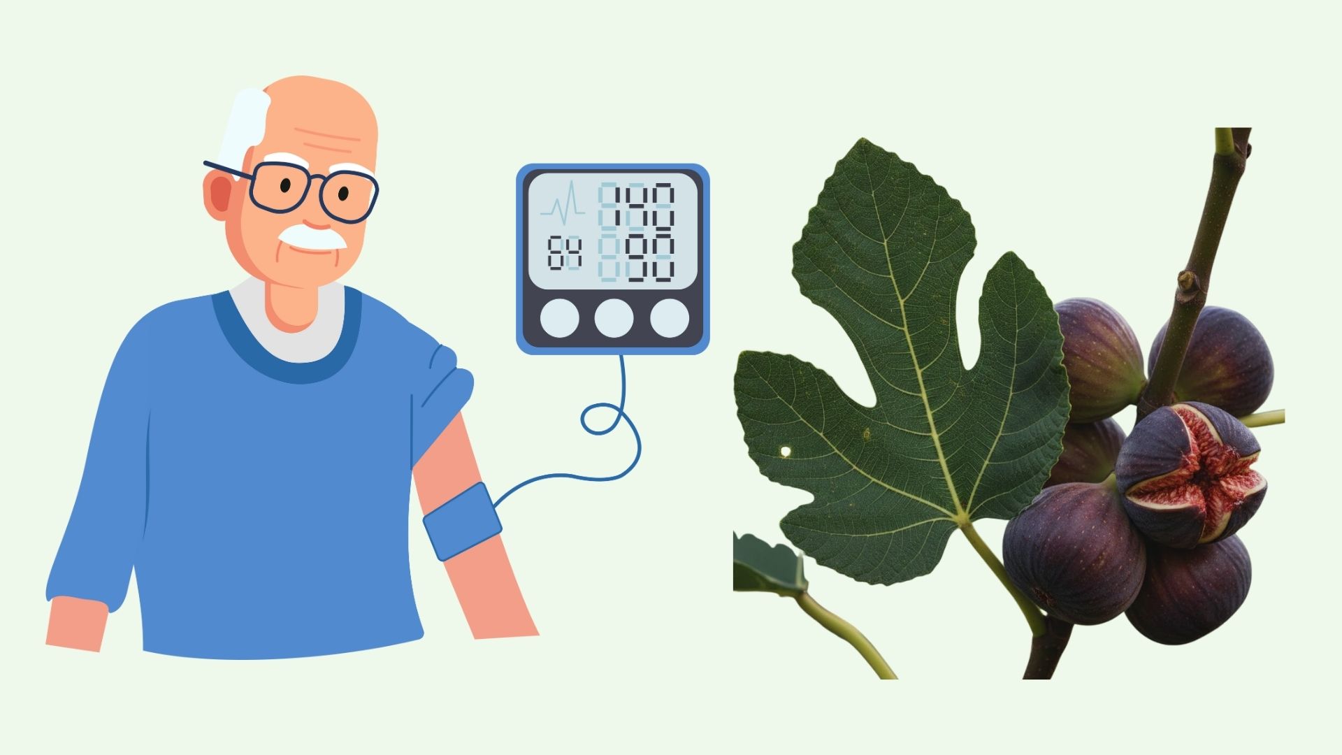 People-friendly, easy-to-find leaves help control blood pressure effectively. Graphics: Linh Dan