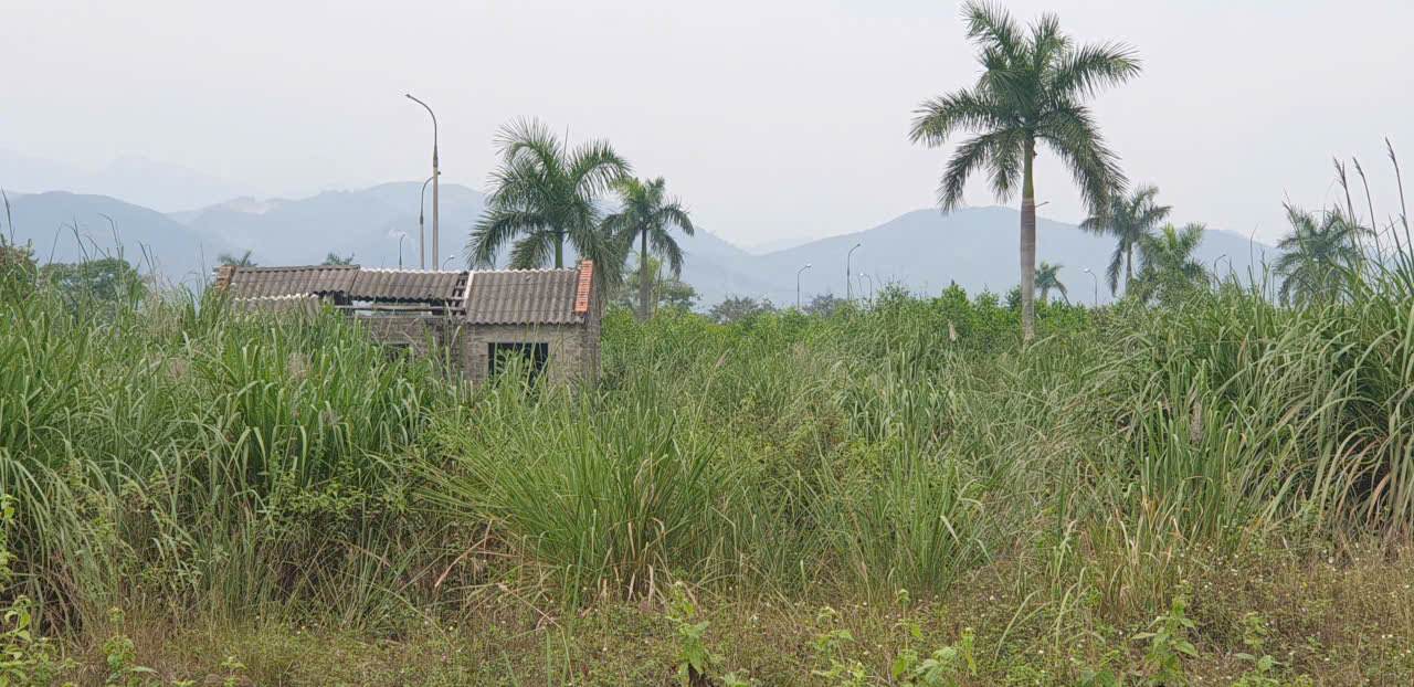 Khu do thi moi phia Bac Cau Bang, xa Thong Nhat. Anh: Nguyen Hung