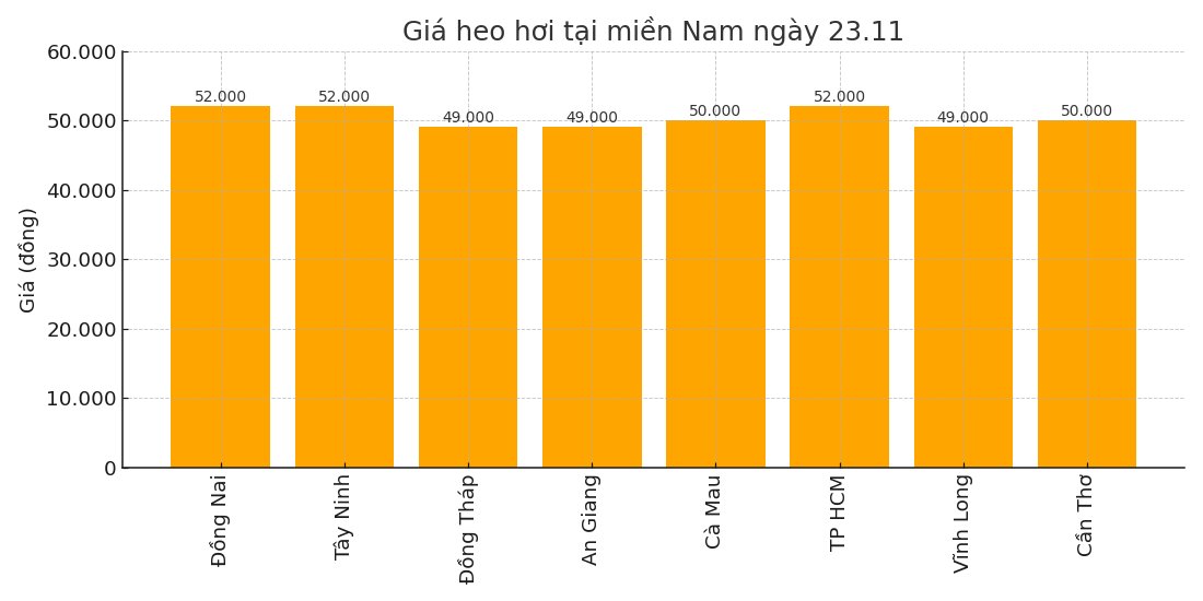 Gia heo hoi hom nay 23.11 tai khu vuc mien Nam. Do hoa: Thuy Linh