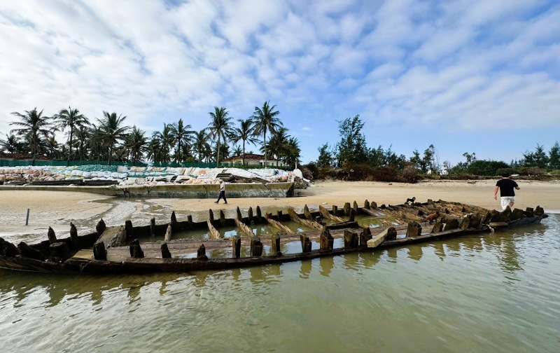 Di vat tau dam duoc phat hien tai ven bien Thinh My (phuong Hoi An Tay, TP Da Nang), cach Cua Dai khoang 4,7 km ve phia Nam. Con tau xuat lo lan dau la cuoi nam 2023, khi bo bien sat lo, cuon troi lop cat phu cac coc go xep hinh xac tau. Phan tich mau go cho thay tau co kich thuoc lon, cau truc chac chan, ket hop ky thuat dong tau Dong Nam A va Trung Quoc. Go bang lang, kien kien va thong duoc su dung, cung chat xam tret chong tham, cho phep tau thuc hien nhung chuyen hai trinh dai. Tuy nhien, con tau nhieu lan bi cat vui lap, khien cac hoat dong tiep theo chua the trien khai. Dau thang 11-2025, mua bao va song lon lam phan tren tau gan nhu hoan chinh lo dien. Ngay 8-11, tau rong 5 m, dai 17,4 m phan lo, con phan khac van vui cat. Cac chi tiet giang, van be, vach ngang, lo, sa qua cung dau vet ky thuat dong tau hien ro.