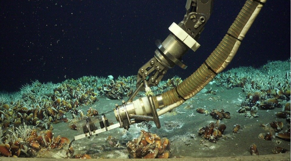 Hot water and cold air just a few kilometers apart have created a surprising combination of chemistry and life. Photo: GEOMAR Helmholtz Ocean Research Center