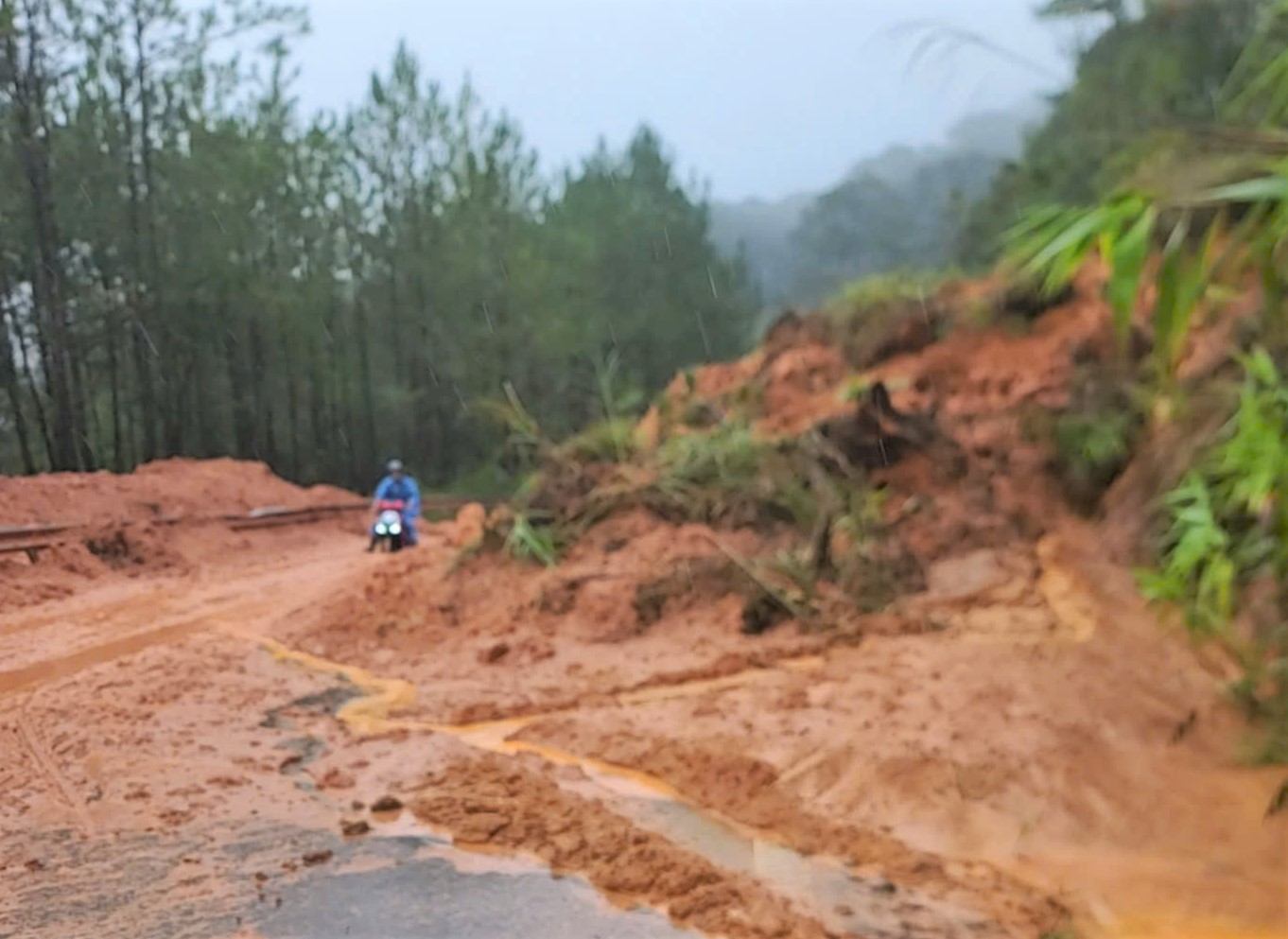 Sat lo khien khoi luong lon dat da do tran xuong duong. Anh: Luc luong chuc nang cung cap.