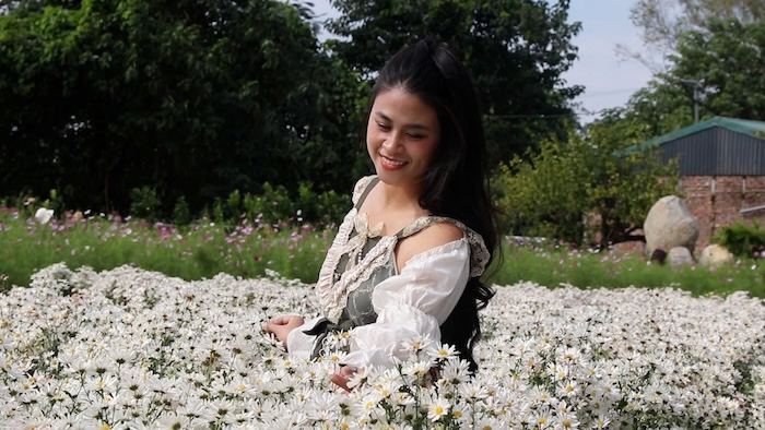 Flower gardens in Tay Tuu, Nhat Tan have begun to enter the chrysanthemum and sugarcane season. Photo: My Linh