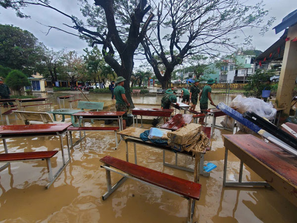 Nhieu diem truong o Quy Nhon ngap bun non. Anh: Luan Tuan 
