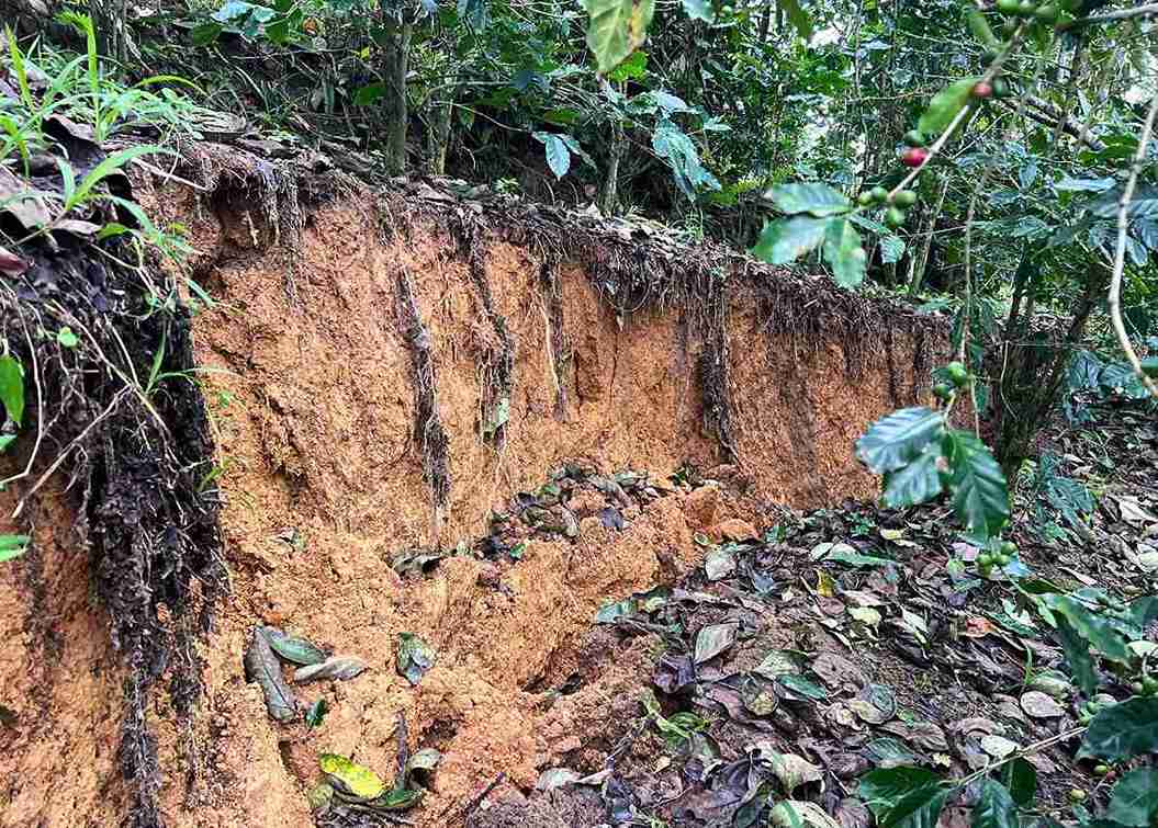 Vet nut chay dai tai thon Duong Moi (xa D'ran) buoc phai di doi nhieu ho dan. Anh: Than Hy