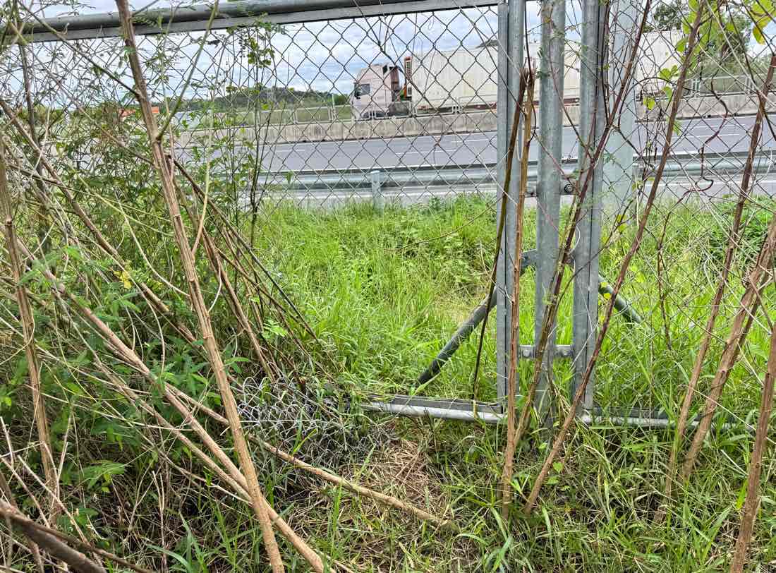 Lo cat tren hang rao bao ve cao toc Vinh Hao - Phan Thiet tai cot moc km234. Anh: Duy Tuan