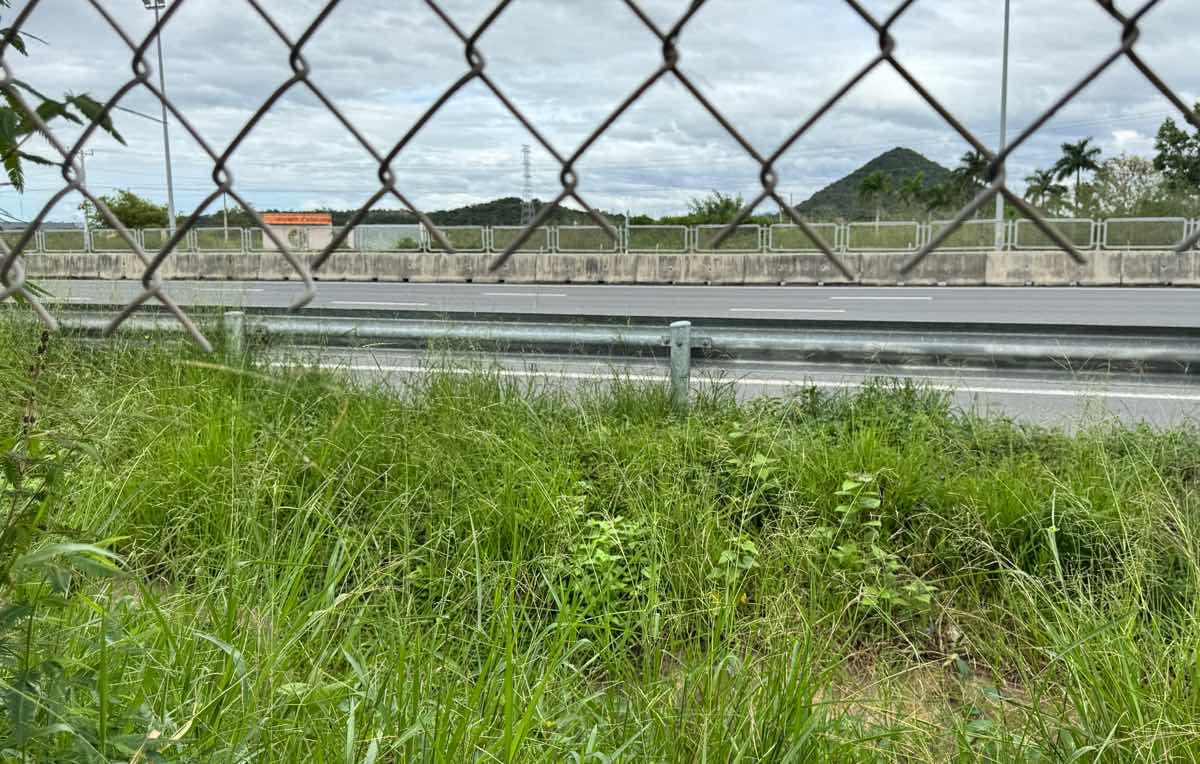 Vet cat thang tren hang rao bao ve cao toc. Anh: Duy Tuan