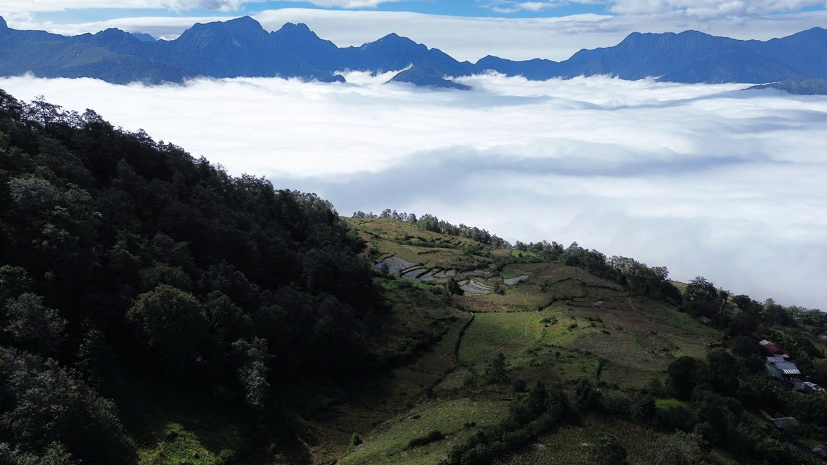 According to locals, the sea of clouds is usually thickest from late October to the end of December. Thanks to the large difference in day and night temperatures and the cold climate typical of an altitude of over 2,300m, Ngai Thau Thuong has clouds almost every morning, especially when there is fog at night and little wind.