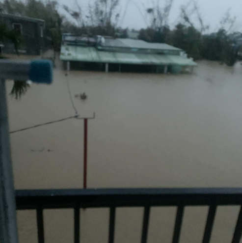 Dien vien Dinh Khang chia se anh can nha cua gia dinh bi ngap sau vung lu. Anh: Nghe si cung cap