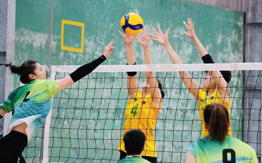 베트남 여자 배구 대표팀은 빈롱에서 VTV 빈딘 롱안 팀과 연습 경기를 계속할 가능성이 높습니다. 사진: VTVBDLA