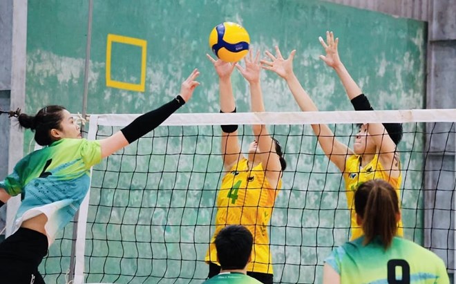 Bóng chuyền Việt Nam 23.11: Đội tuyển nữ có thể gặp lại VTV Bình Điền Long An