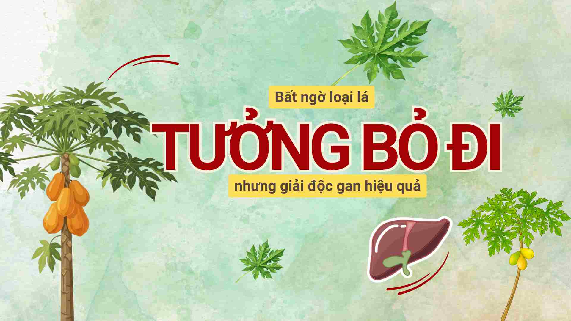 Unexpected leaves that seem to be discarded but effectively detoxify the liver