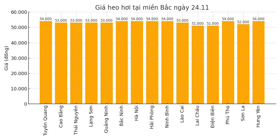 Gia heo hoi hom nay 24.11 tai khu vuc mien Bac. Do hoa: Thuy Linh
