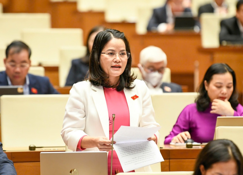 Delegate Nguyen Hoang Bao Tran said that the draft law is being too open when allowing owners to "self-determine the value" of intellectual property without stipulating the obligation to prove, publish the basis or minimum valuation standards. Photo: Pham Dong