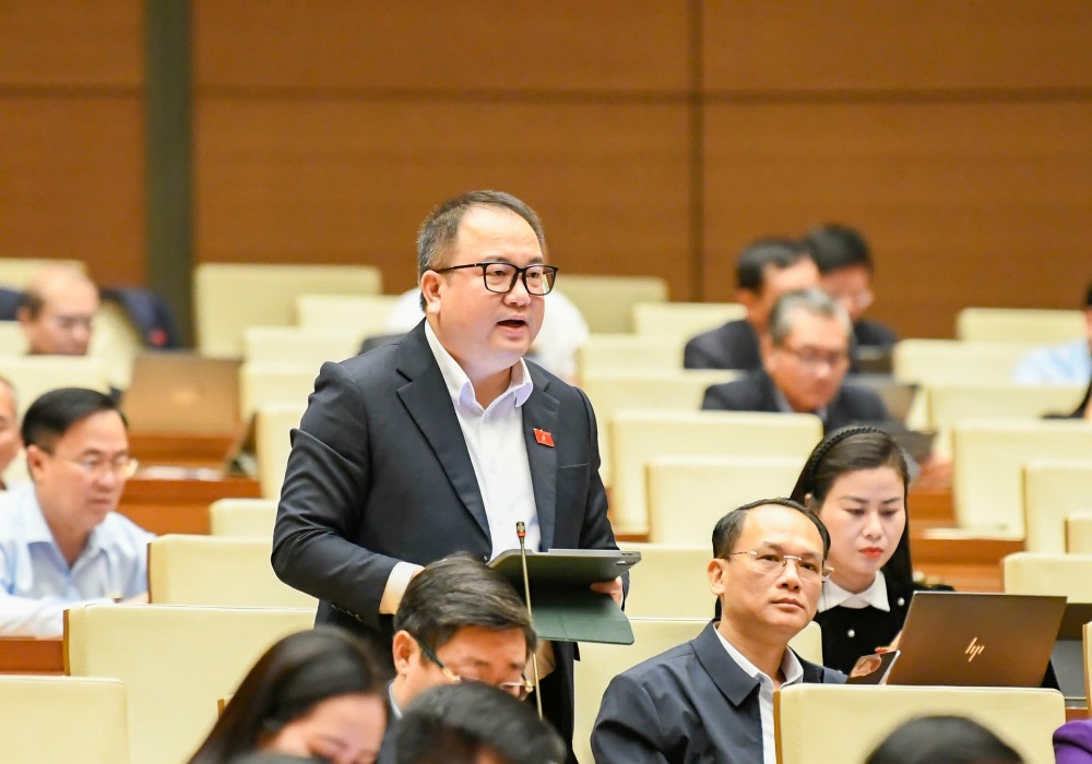 Dai bieu Quoc hoi Pham Trong Nghia phat bieu. Anh: Pham Dong