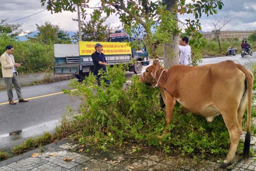Siet manh tinh trang bo tha rong o Da Nang, duong sa thong thoang, nguoi dan tho phao. Anh: Tran Thi