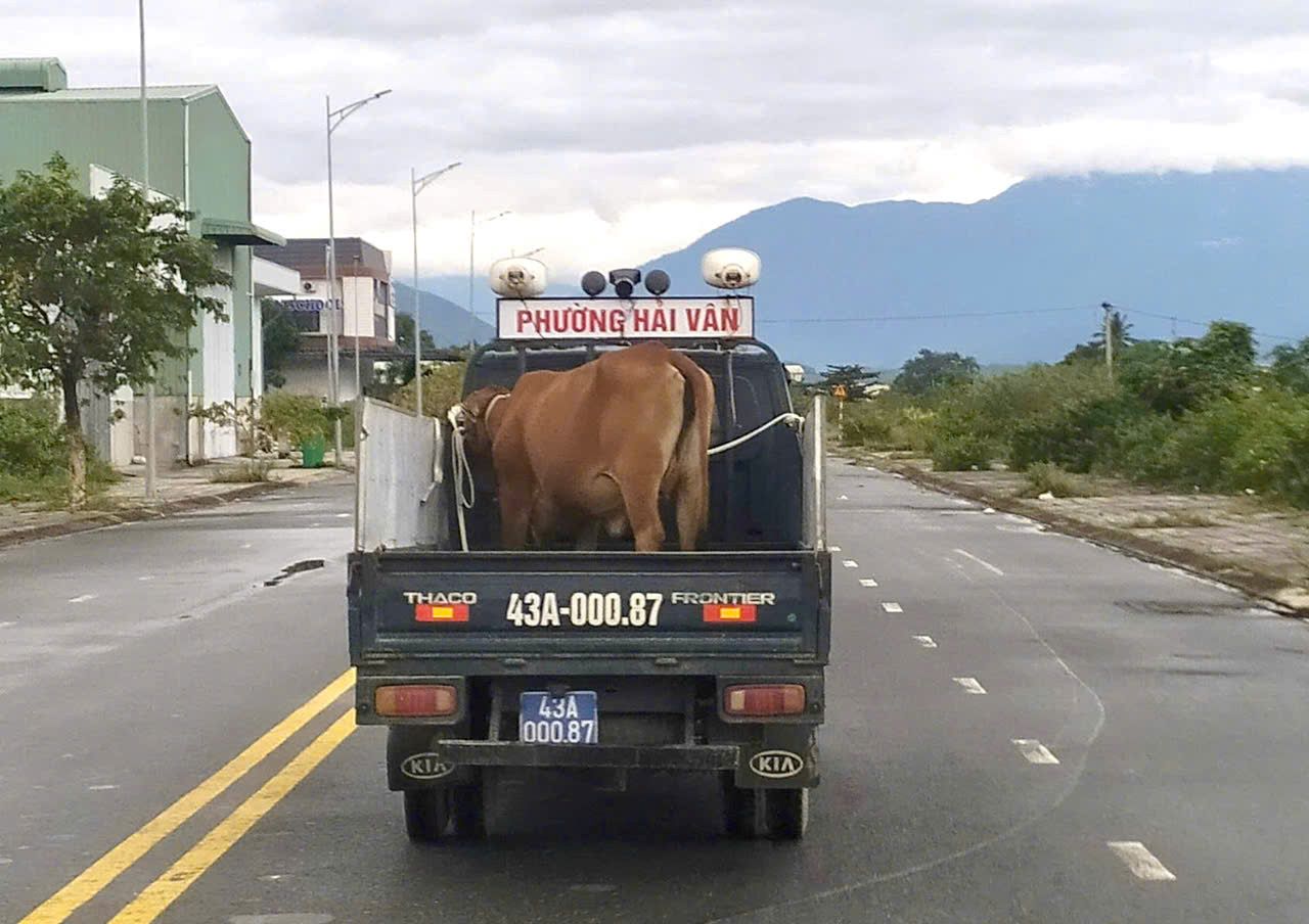 Luc luong chuc nang ra quan, xu ly bo di ngoai duong. Anh: Tran Thi
