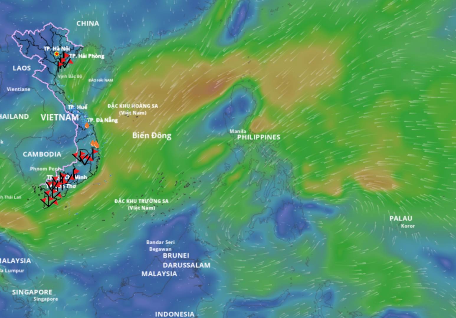 The tropical depression in the sea east of the Philippines is likely to enter the East Sea and strengthen into a storm. Source: Vietnam Disaster Monitoring System