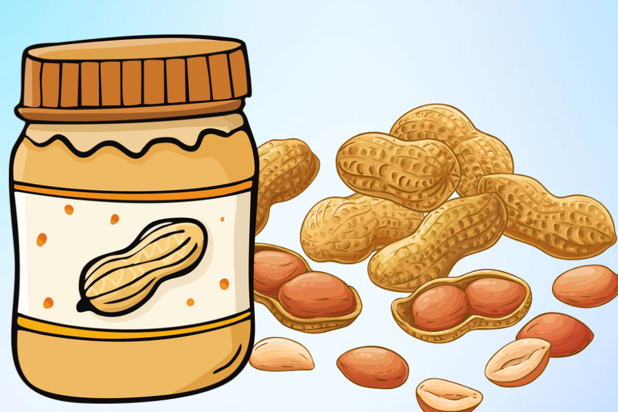 Eat peanuts every night in winter: Unexpected benefits and important notes. Graphics: Thien Nhan