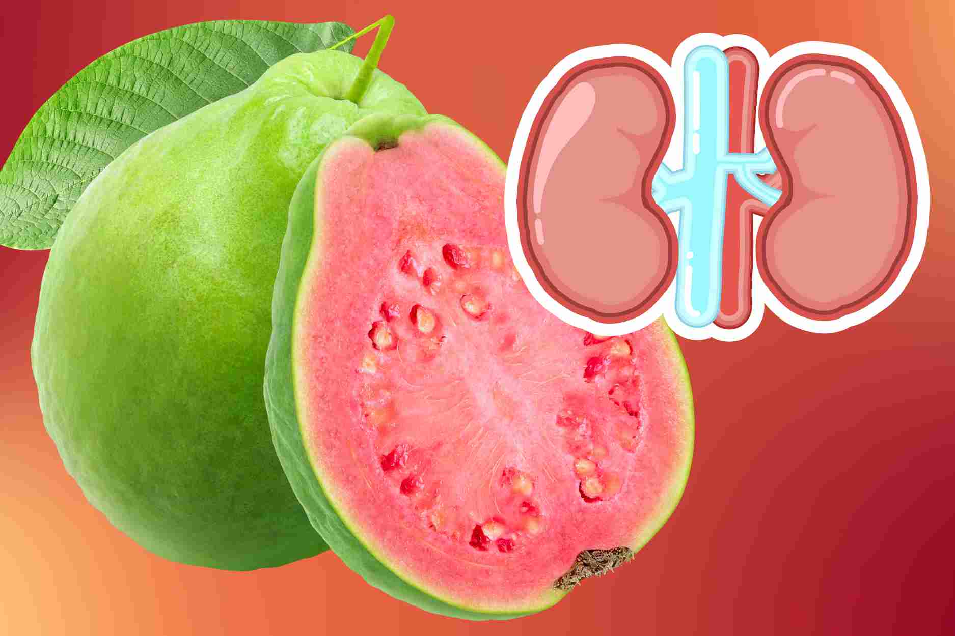 Golden notes when eating guava for people with kidney disease