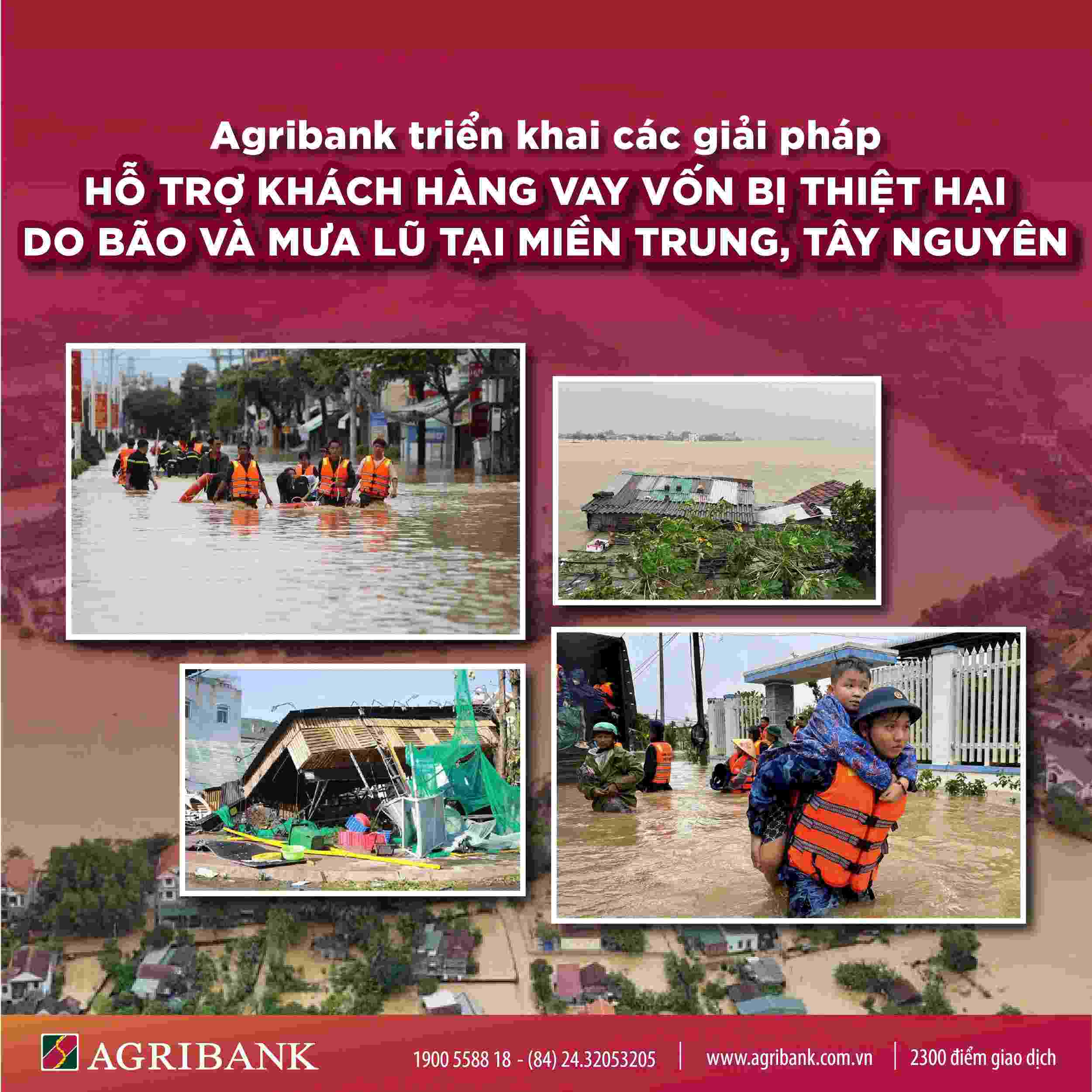 写真: アグリバンク