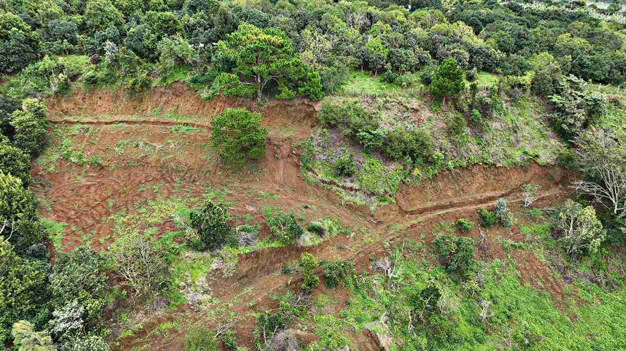 The earth crack stretched hundreds of meters on a hill, forcing Lam Dong to urgently evacuate 30 households. Photo: Phuc Khanh