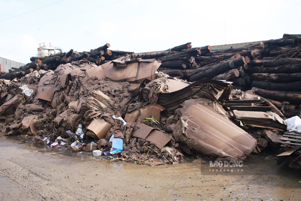 Nguyen lieu san xuat cua Cong ty TNHH Duc Toan chim trong nuoc lu, hu hai. Anh: Hoai Phuong
