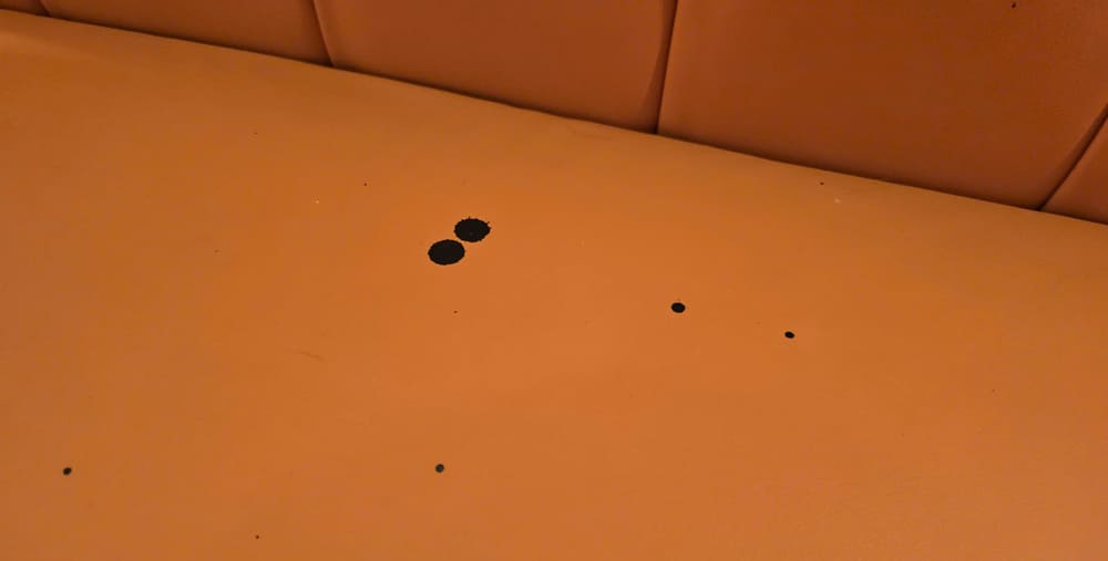 Exfoliating the sofa with ink stains that need to be applied properly will bring quick results. Photo: Tuan Dat