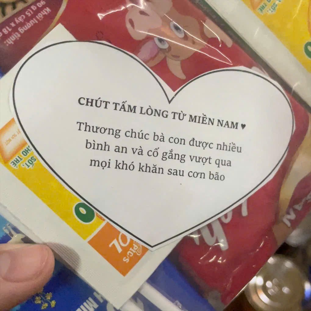 Nhung loi nhan gui cua nguoi dan mien Nam den dong bao vung lu.