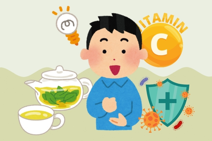 Una verdura con una fuente natural de vitamina C que ayuda a refrescar y aumentar la resistencia