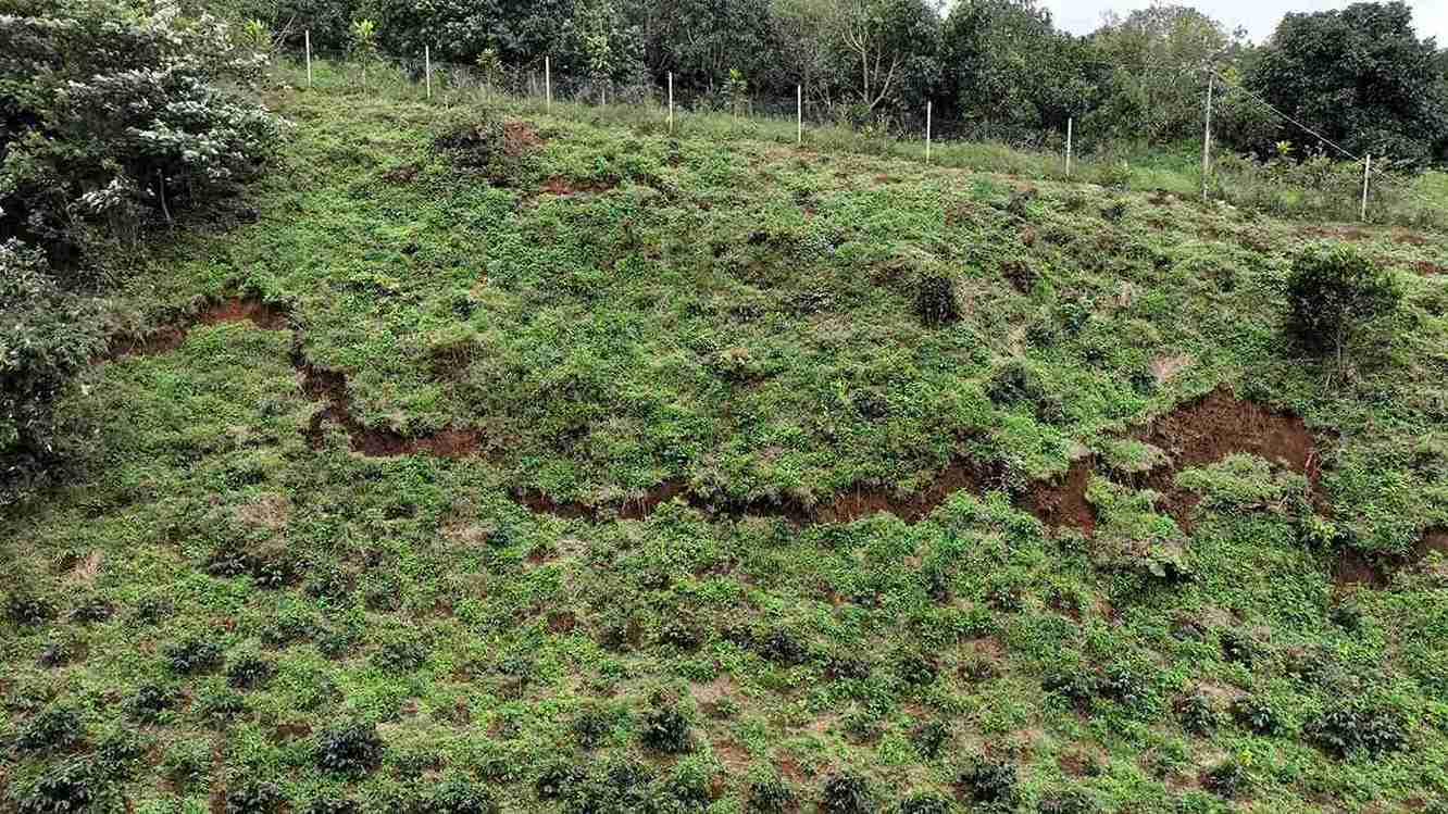 Sat lo dat dang dien bien phuc tap tai xa D'ran (Lam Dong). Anh: Phuc Khanh