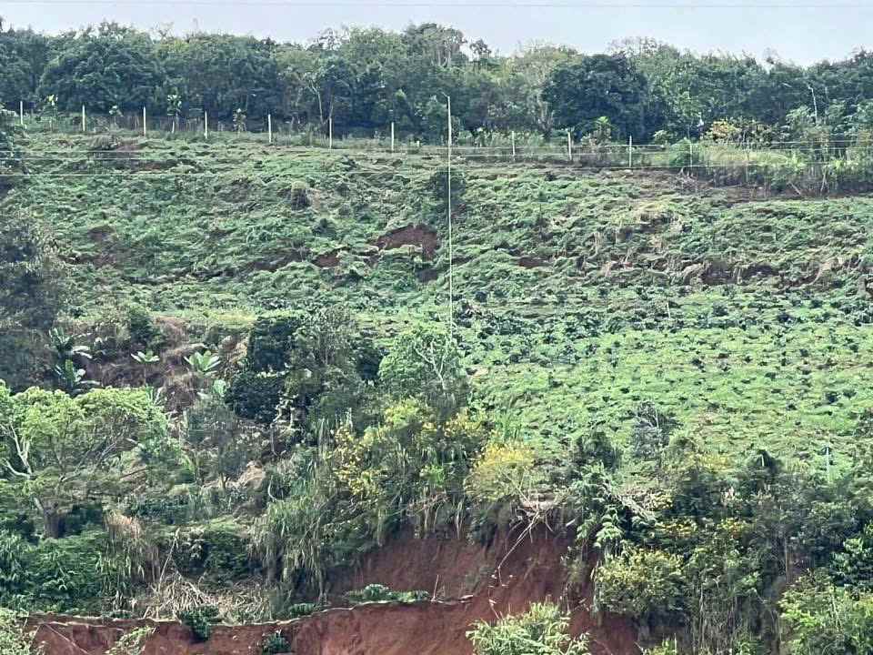 Vet nut chay dai hang tram met tren doi Trang Bang (thon Lac Thien 2, xa D'ran). Anh: Phuc Khanh