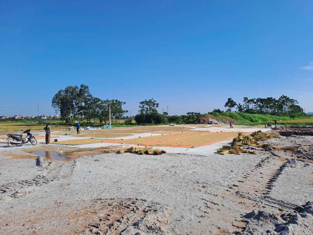 Hien trang du an van la nhung canh dong lua cua nguoi dan. Anh: PV