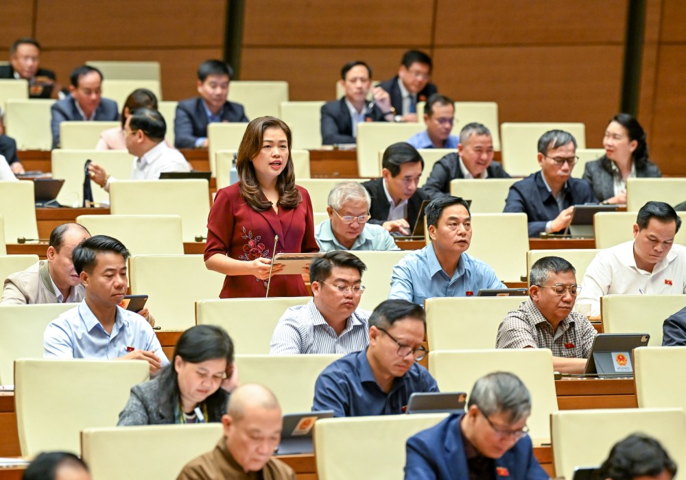 Dai bieu Quoc hoi Doan Thi Le An. Anh: Pham Dong